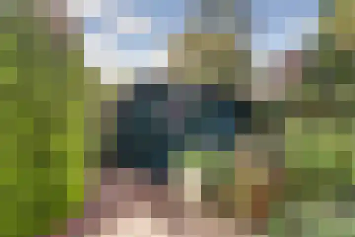 Kroonse Wal 63 Arnhem thumbnail 32