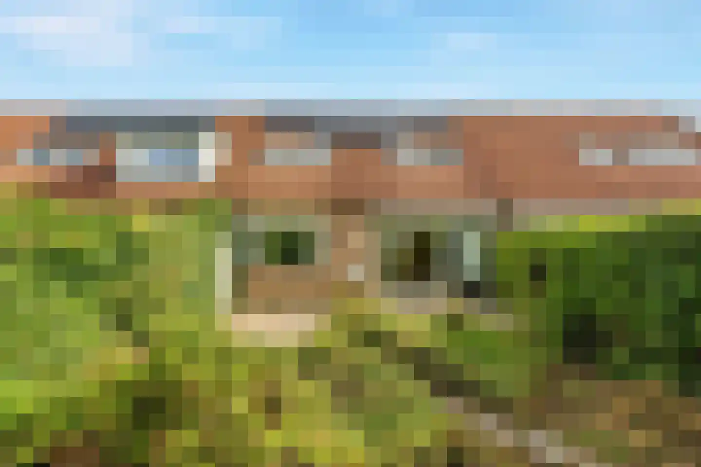 Kroonse Wal 65 Arnhem thumbnail 21