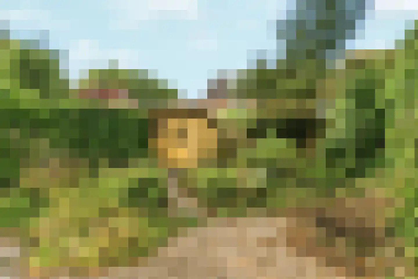 Kroonse Wal 65 Arnhem thumbnail 22