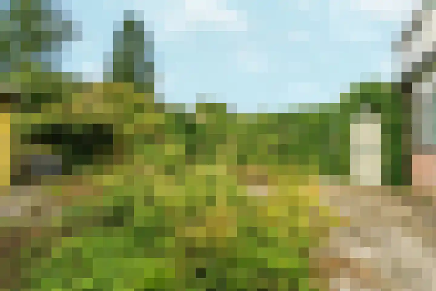 Kroonse Wal 65 Arnhem thumbnail 24