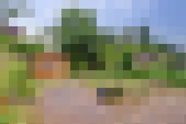 Kroonse Wal 69 Arnhem thumbnail 23