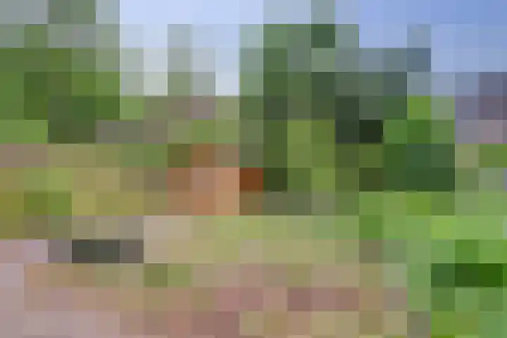 Kroonse Wal 69 Arnhem thumbnail 24