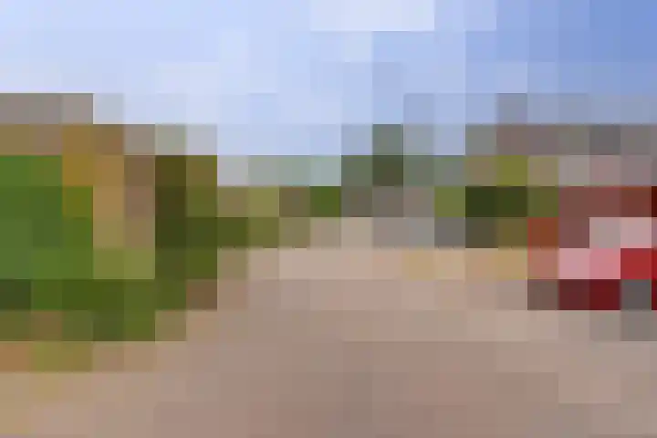 Kroonse Wal 69 Arnhem thumbnail 29