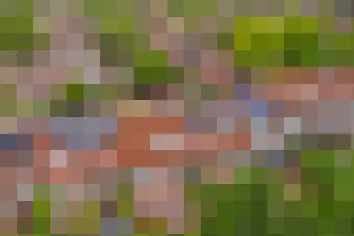 Kroonse Wal 69 Arnhem thumbnail 30
