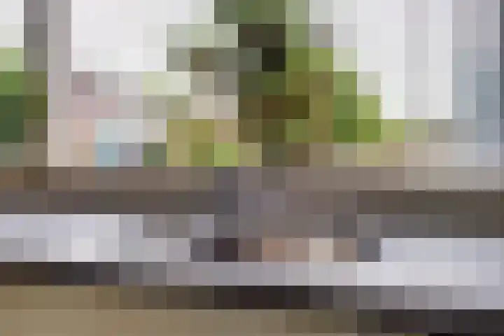 Kroonse Wal 69 Arnhem thumbnail 8