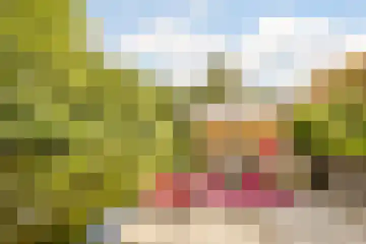 Kroonse Wal 71 Arnhem thumbnail 29