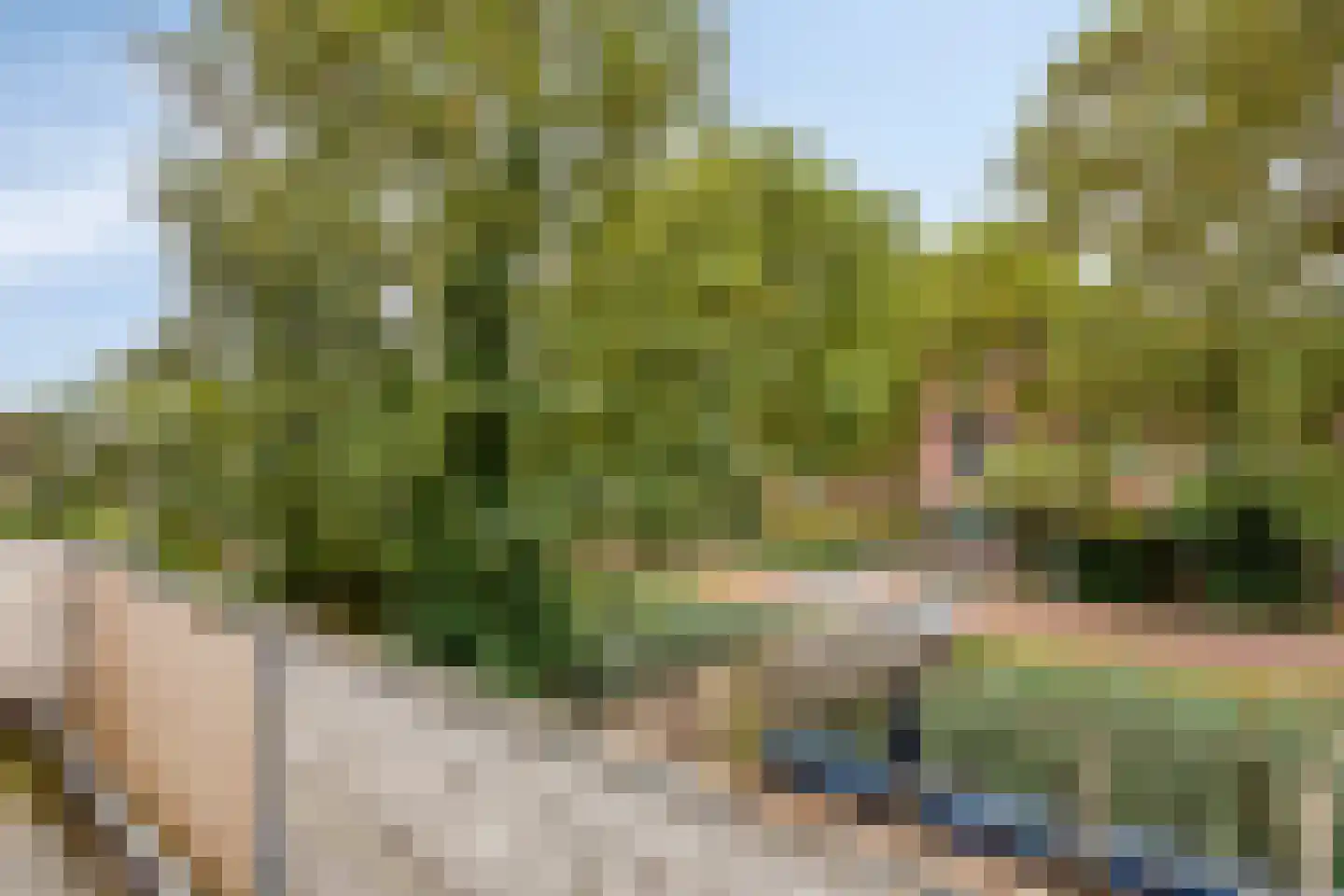 Kroonse Wal 83 Arnhem thumbnail 23
