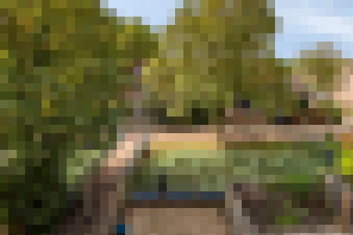 Kroonse Wal 83 Arnhem thumbnail 24