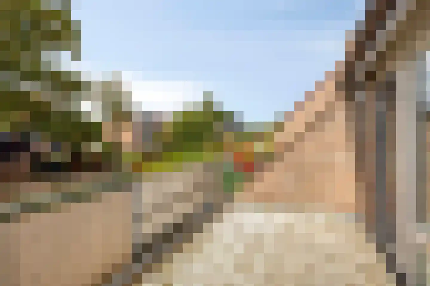 Kroonse Wal 83 Arnhem thumbnail 24