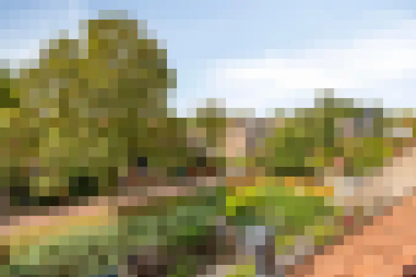 Kroonse Wal 83 Arnhem thumbnail 25