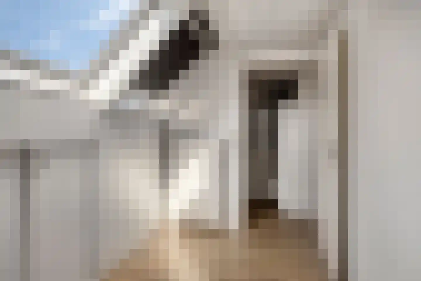 Kroonse Wal 83 Arnhem thumbnail 33