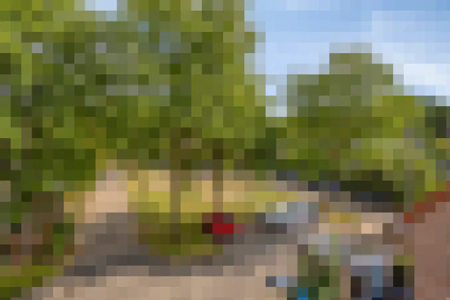 Kroonse Wal 83 Arnhem thumbnail 34