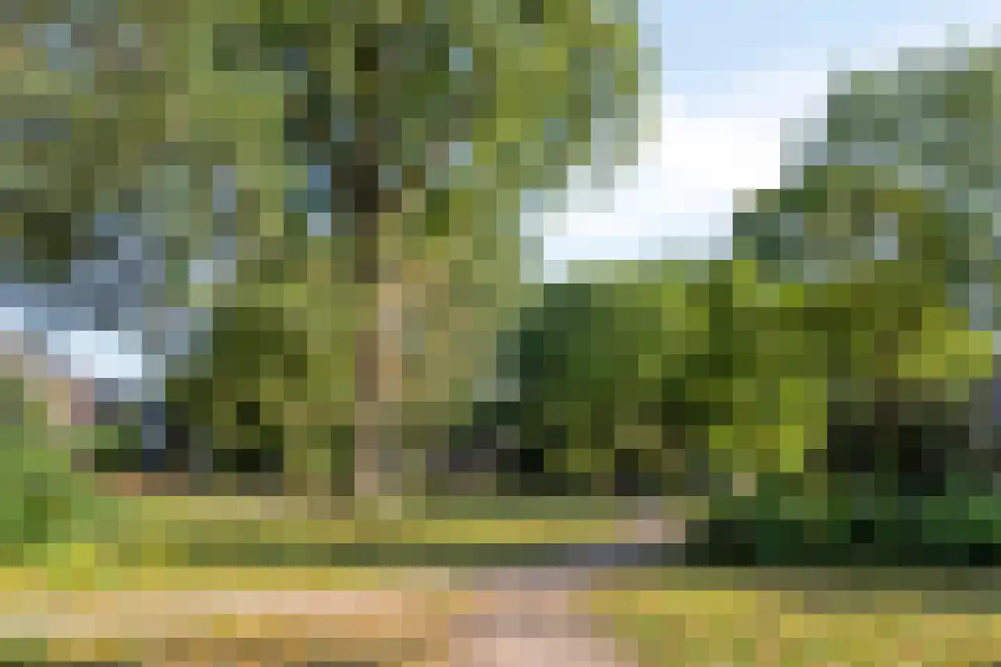 Kroonse Wal 83 Arnhem thumbnail 42