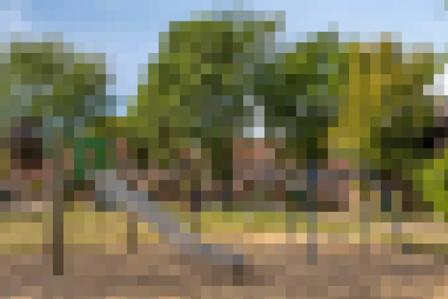 Kroonse Wal 83 Arnhem thumbnail 42