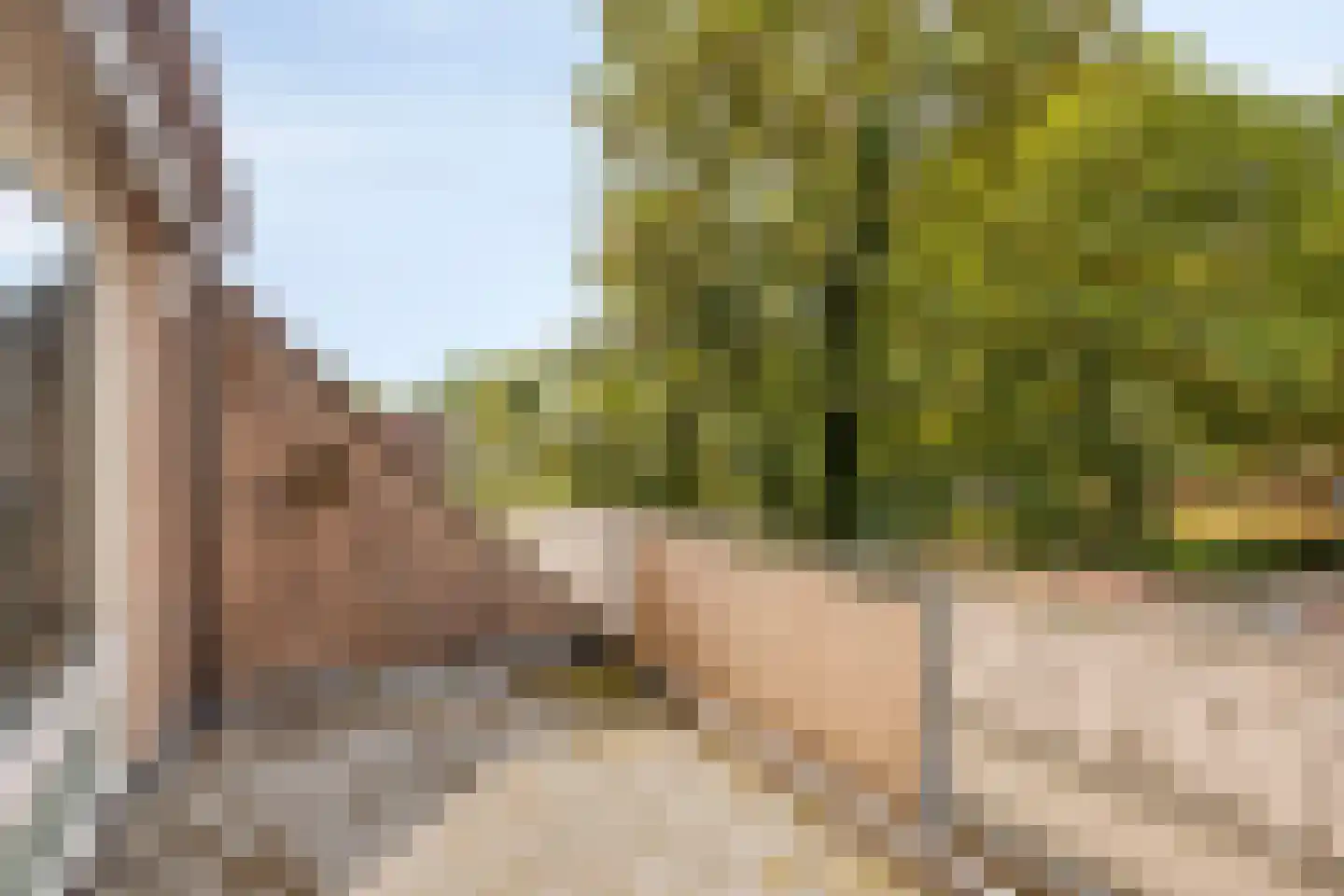 Kroonse Wal 83 Arnhem thumbnail 7