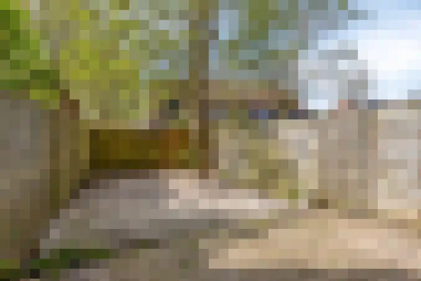 Kroonse Wal 87 Arnhem thumbnail 22