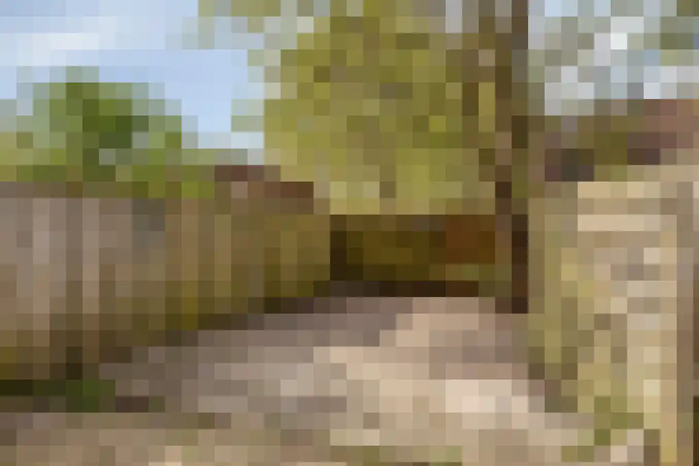 Kroonse Wal 87 Arnhem thumbnail 23