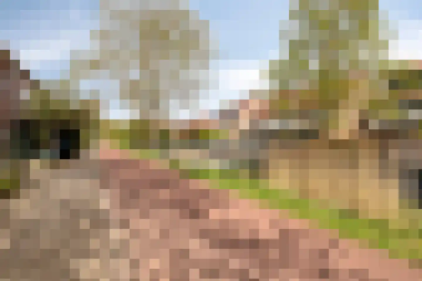 Kroonse Wal 87 Arnhem thumbnail 26