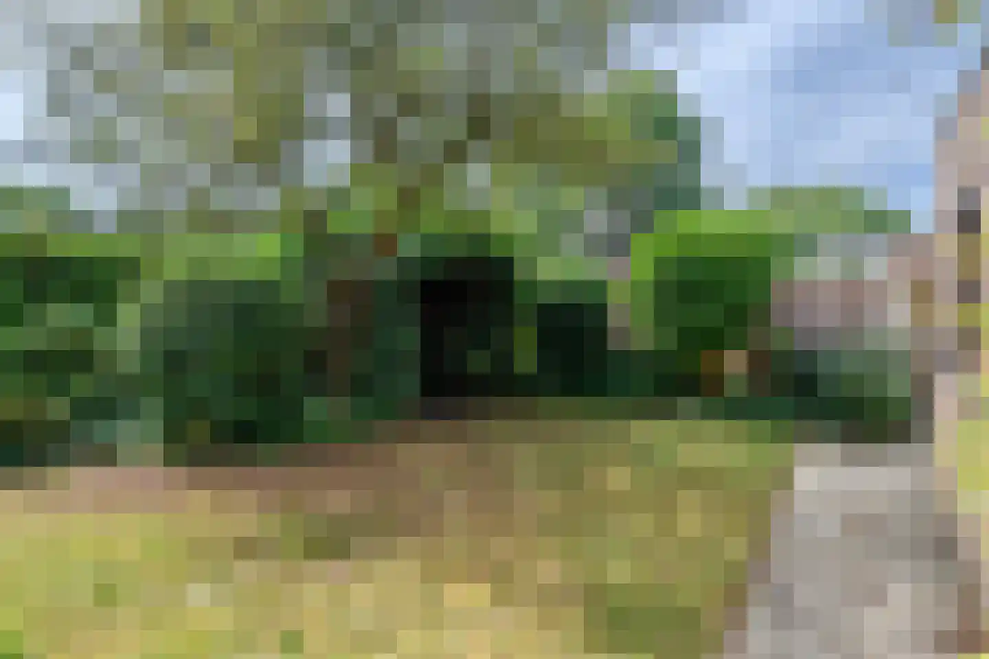 Kroonsingel 112 Malden thumbnail 46