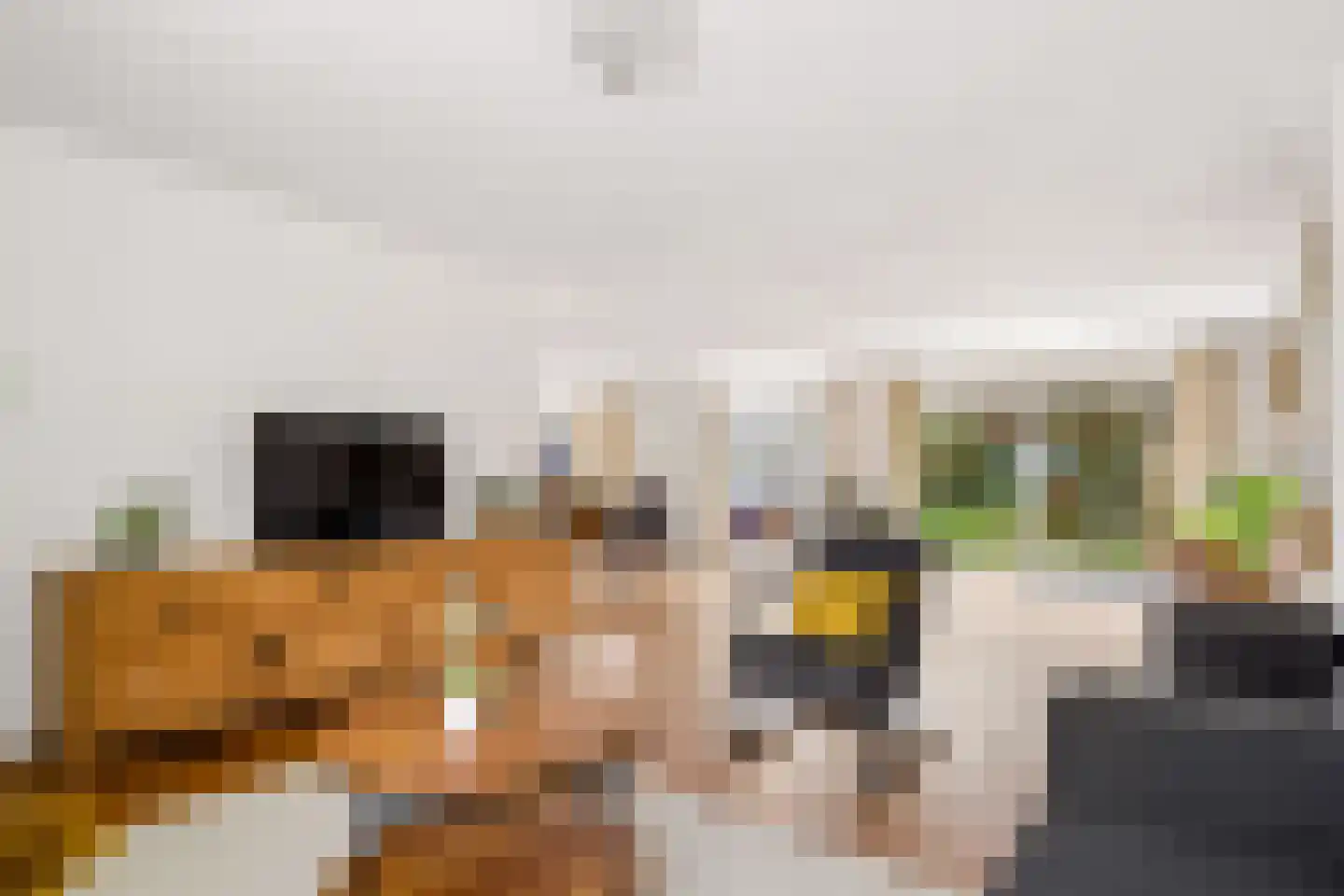 Kroonslag 30 Houten thumbnail 13