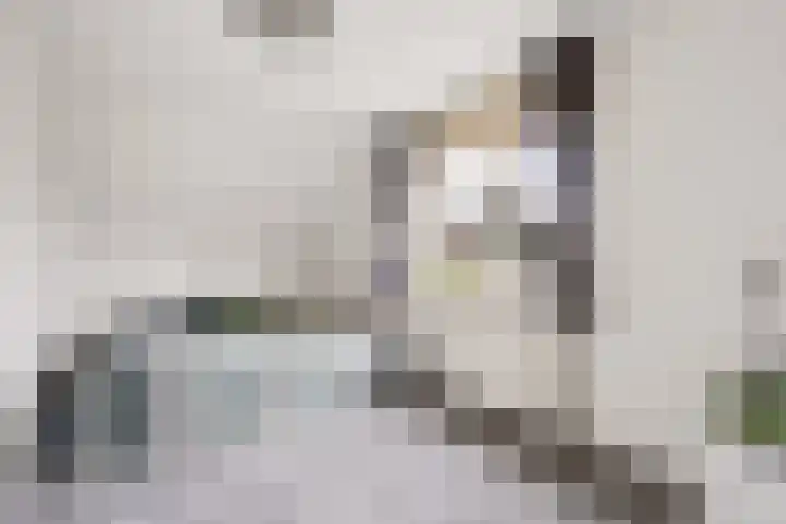 Kroonslag 30 Houten thumbnail 36