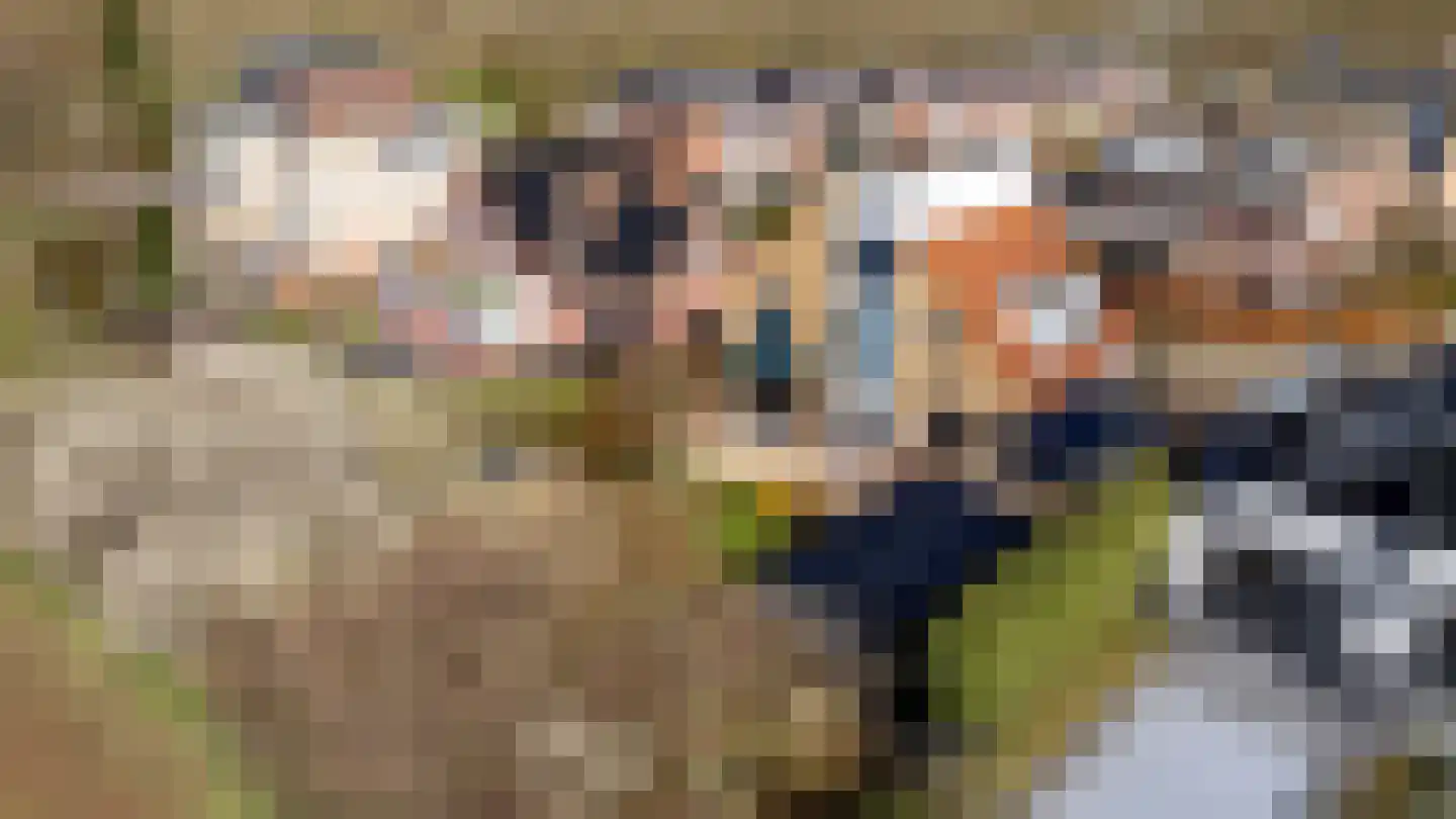 Kroonslag 30 Houten thumbnail 4