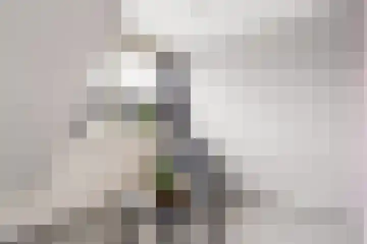 Kroonslag 30 Houten thumbnail 40