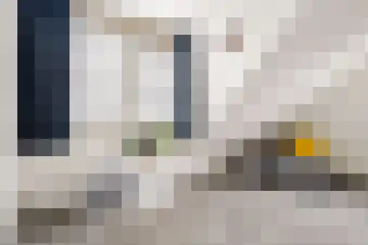 Kroonslag 30 Houten thumbnail 42