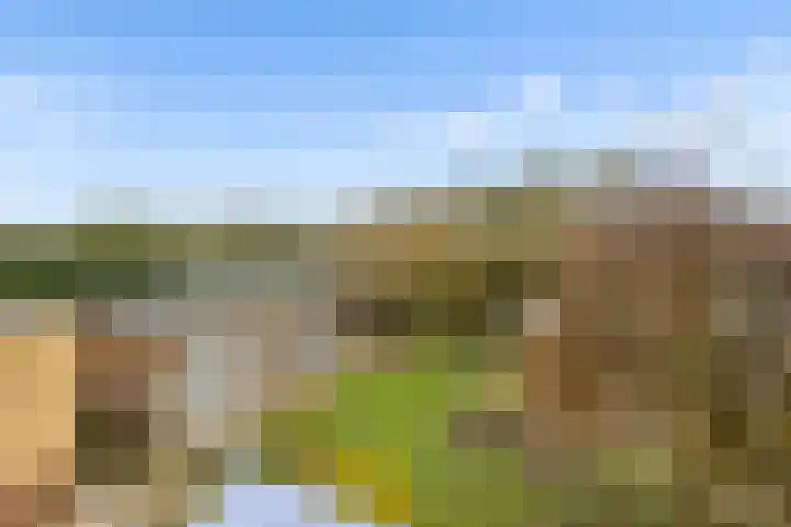 Kroonslag 30 Houten thumbnail 63