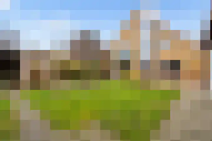 Kroonslag 30 Houten thumbnail 67