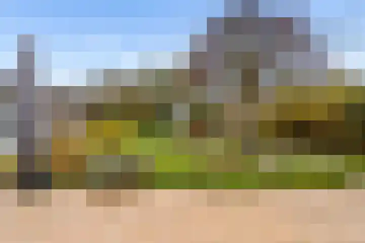 Kroonslag 30 Houten thumbnail 69