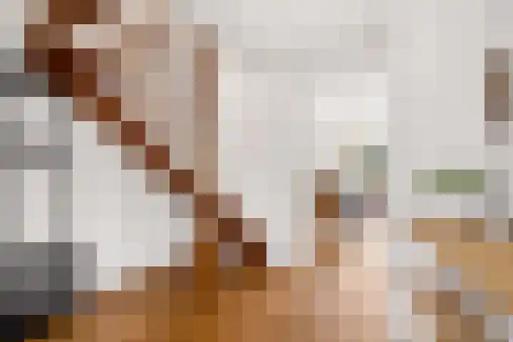 Kroonslag 30 Houten thumbnail 7