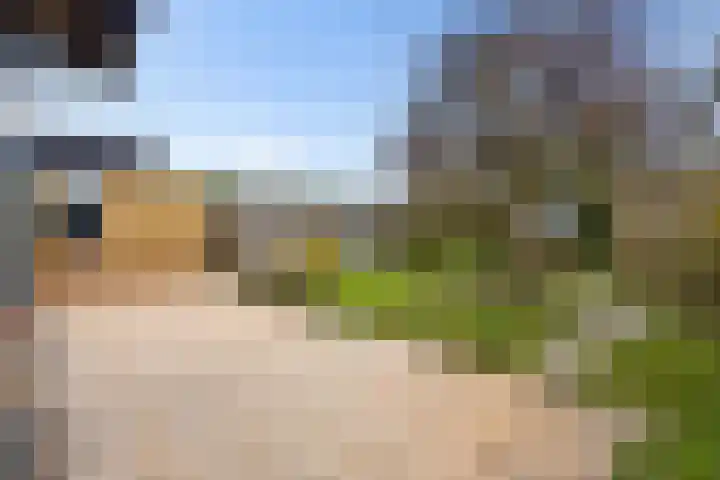 Kroonslag 30 Houten thumbnail 70