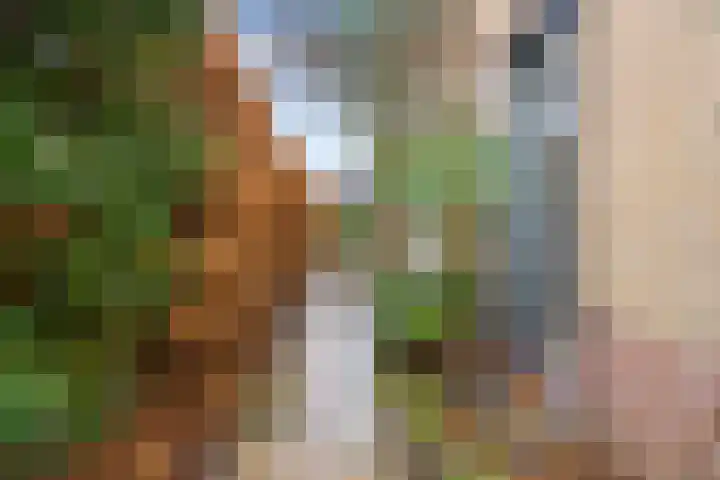 Kroonslag 30 Houten thumbnail 73