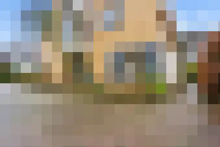 Kroonslag 30 Houten thumbnail 74