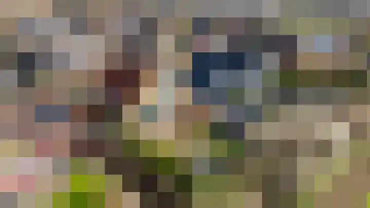 Kroonslag 30 Houten thumbnail 79