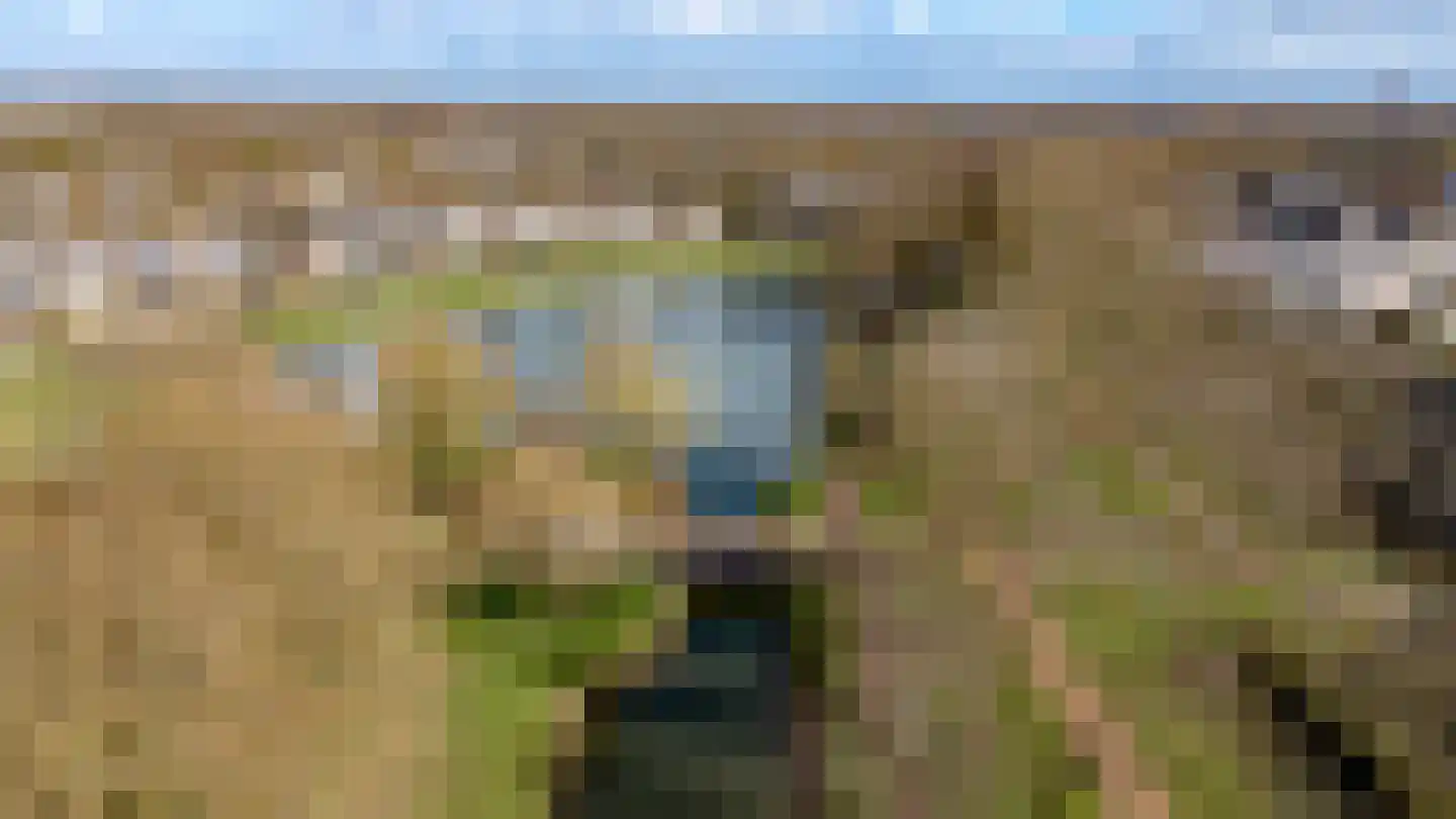 Kroonslag 30 Houten thumbnail 82
