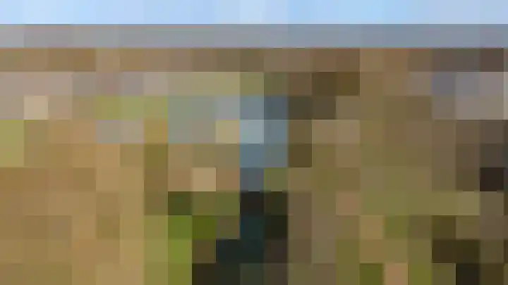 Kroonslag 30 Houten thumbnail 82
