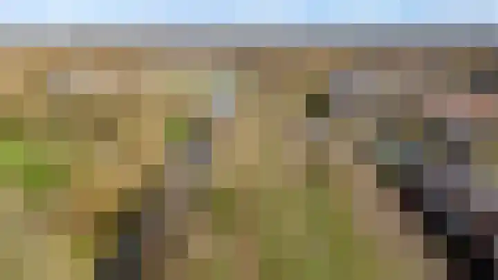 Kroonslag 30 Houten thumbnail 84