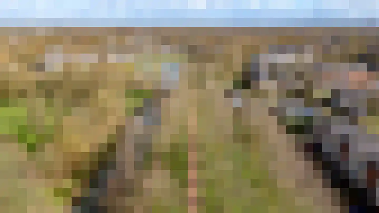 Kroonslag 30 Houten thumbnail 84