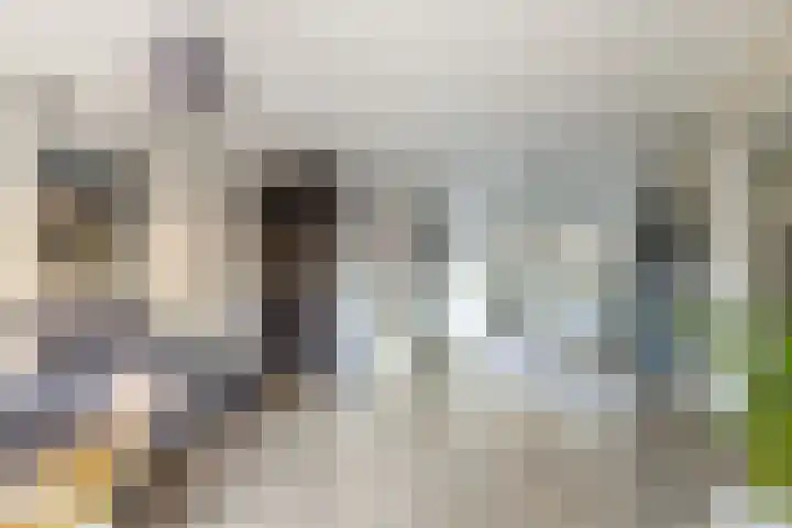 Kroonstaddreef 28 Rotterdam thumbnail 16