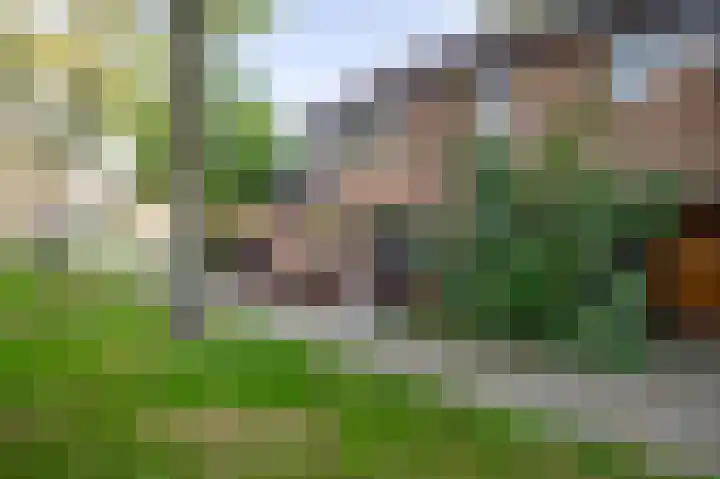 Kroonstaddreef 28 Rotterdam thumbnail 68