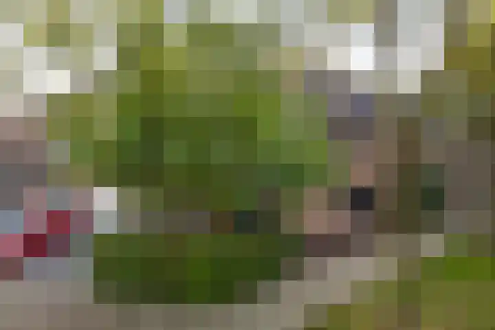 Kroonstaddreef 28 Rotterdam thumbnail 69
