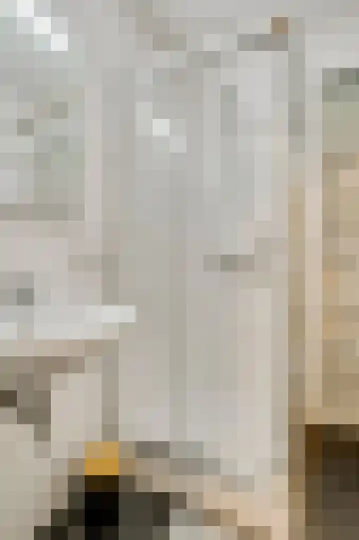 Kroonstraat 1 A Stramproy thumbnail 21