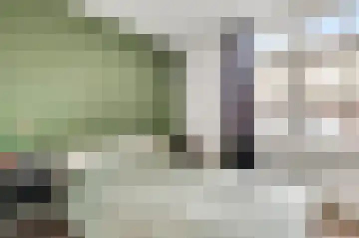 Kroonstraat 1 A Stramproy thumbnail 5