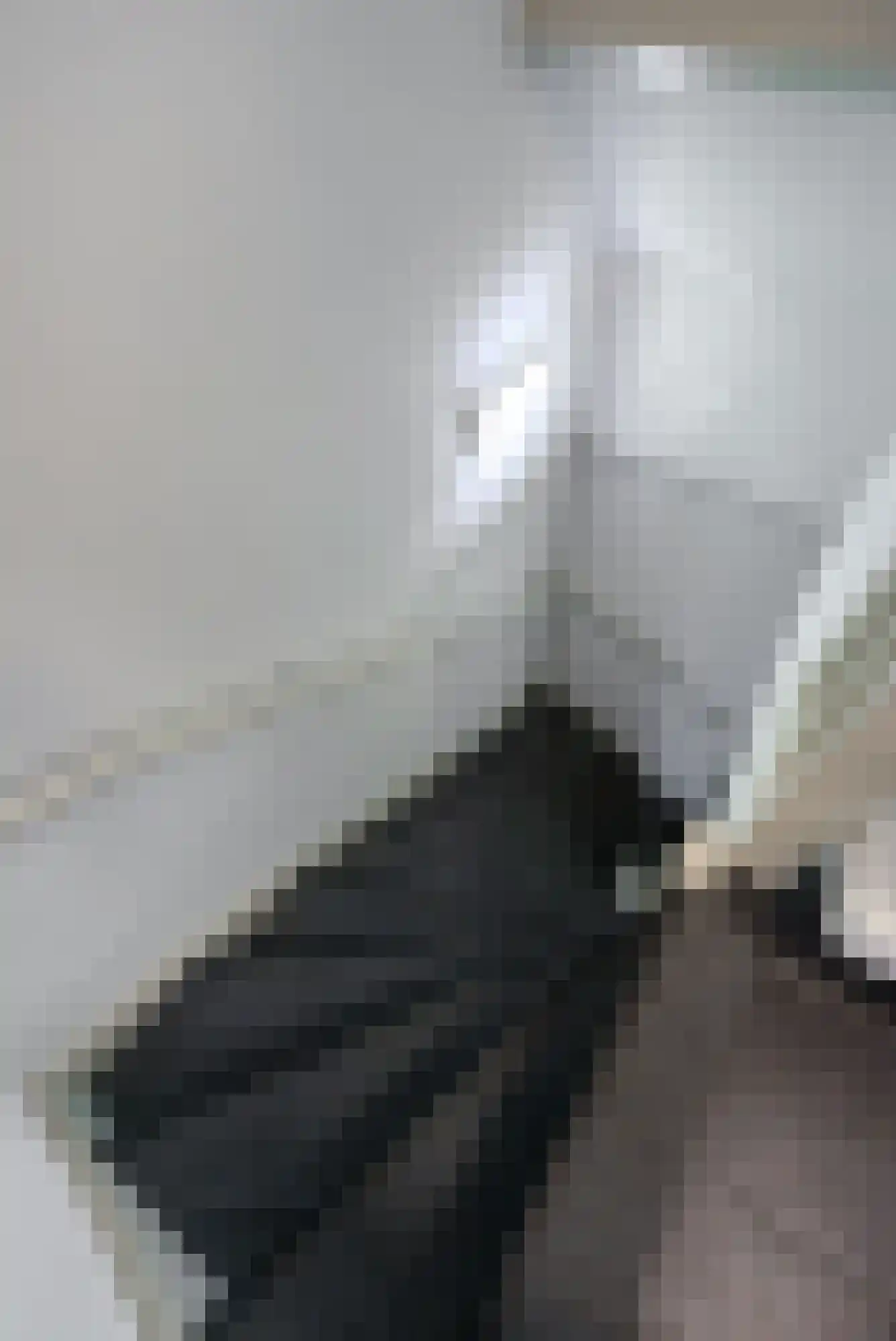 Kroonstraat 1 D Stramproy thumbnail 27