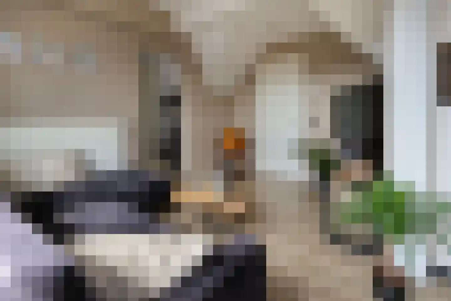 Kroonstraat 1 D Stramproy thumbnail 8