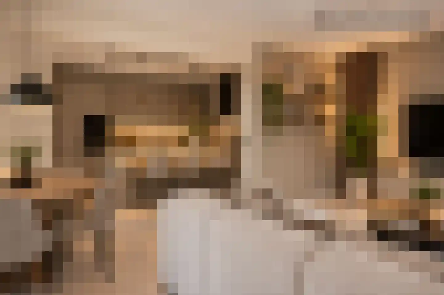 Kroonstraat 10 d Wessem thumbnail 7