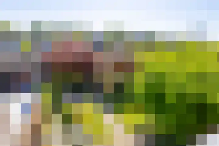 Kroonstraat 12 Sliedrecht thumbnail 21