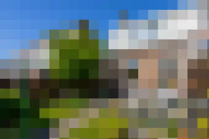 Kroonstraat 12 Sliedrecht thumbnail 29